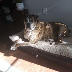 Meet your Posher, Pamela